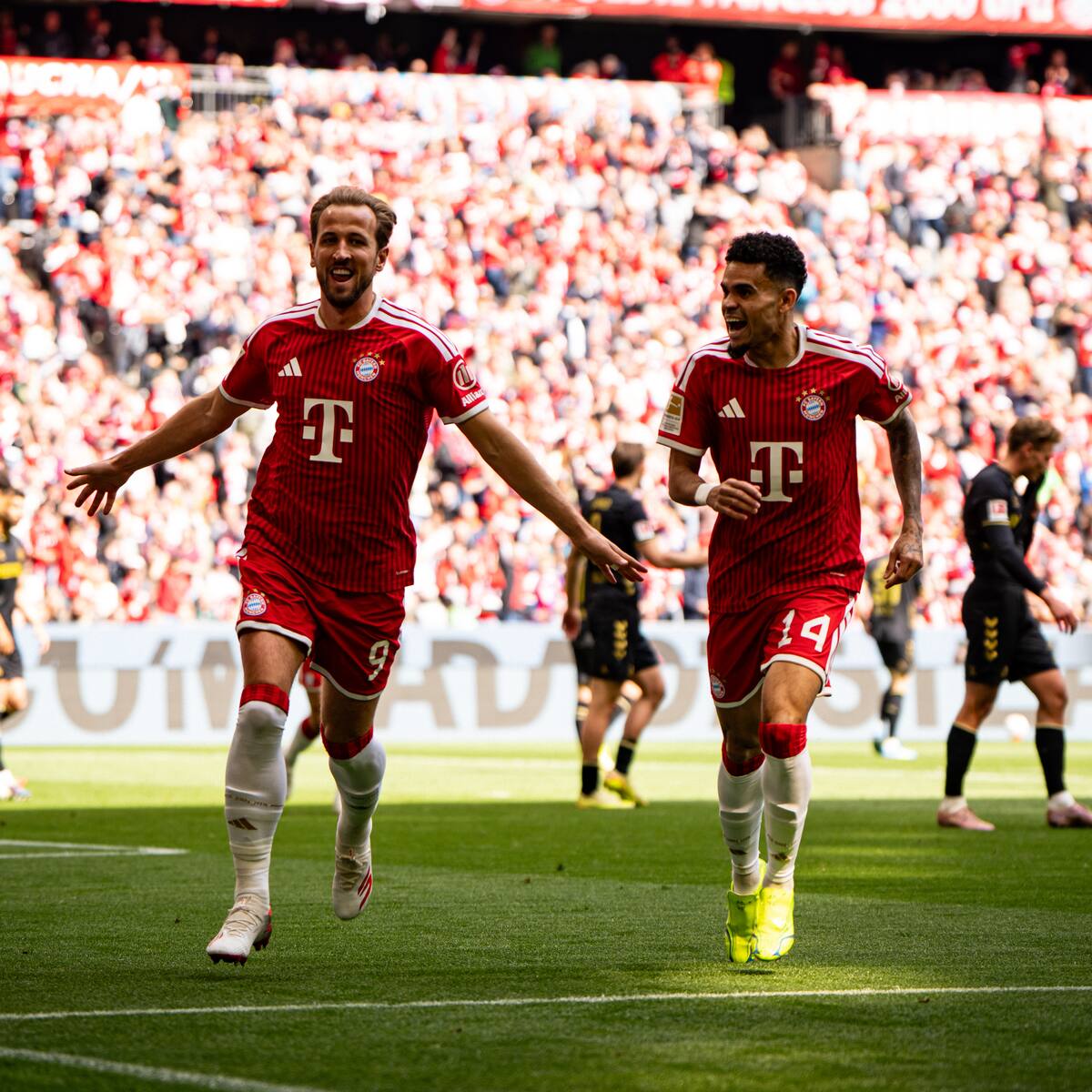 Harry Kane se rinde en elogios a Luis Díaz: “Lo que más aprecio de él son esos goles espectaculares”