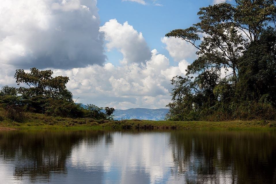 Reserva natural El Romeral en La Estrella, Antioquia. Foto: cortesía.