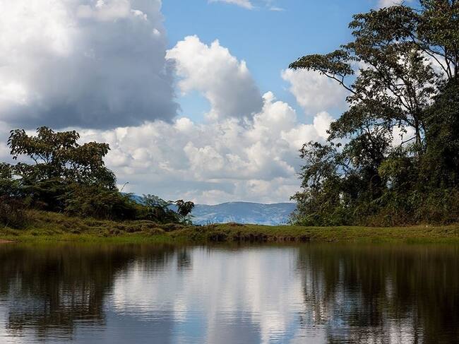 Reserva natural El Romeral en La Estrella, Antioquia. Foto: cortesía.
