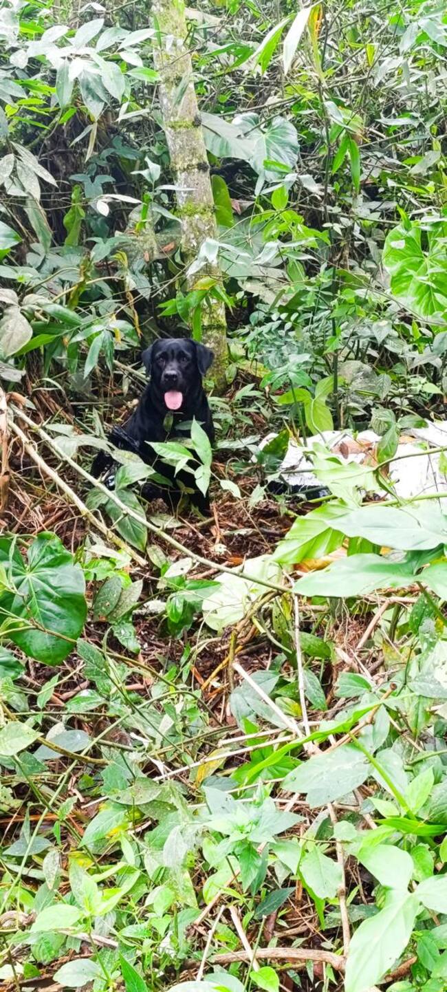 Foto: Novena brigada