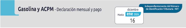 Gasolina y ACPM fecha DIAN para enero 2026 (DIAN)