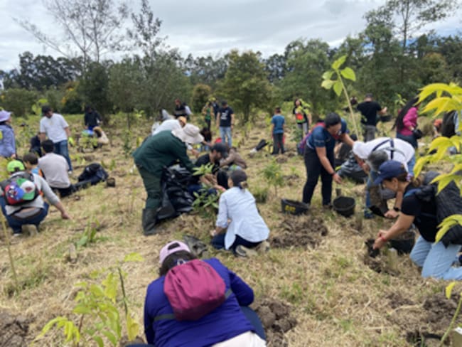 FESTIVAL CORDILLERA CORTESIA PARAMO