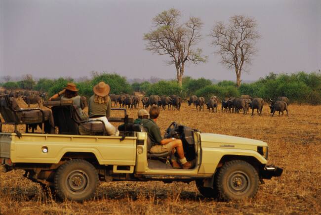 Grupo de personas en un safari en Sudáfrica / Foto: GettyImages