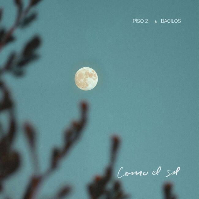 BACILOS Y PISO 21 CREDITO 2 PRESS RELEASE