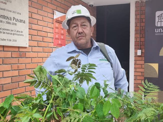 Juan Eusebio Olaya quiere sembrar 15 mil búcaros en Bucaramanga