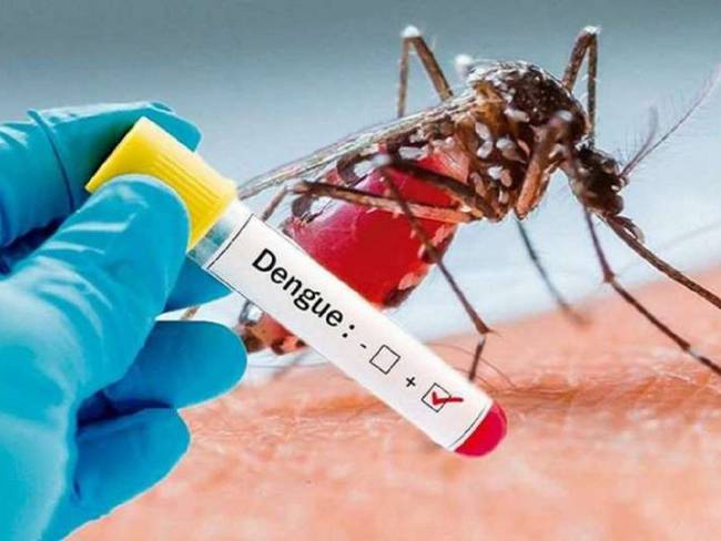 El dengue está afectando la salud de los ibaguereños