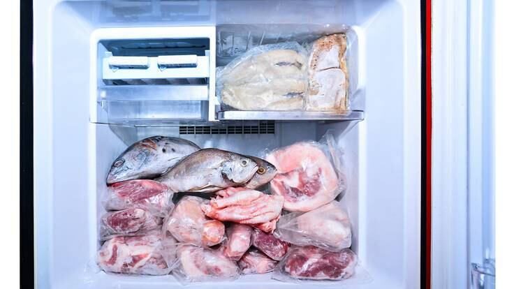 Pescado, carne de res, cerdo y pollo guardado en el congelador de una nevera de casa (Getty Images)