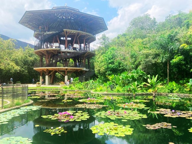 Un jardín en el agua embellece la vista del &quot;Mirador&quot;, diseñado por el arquitecto Simón Vélez. Jardín Botánico de Cali.