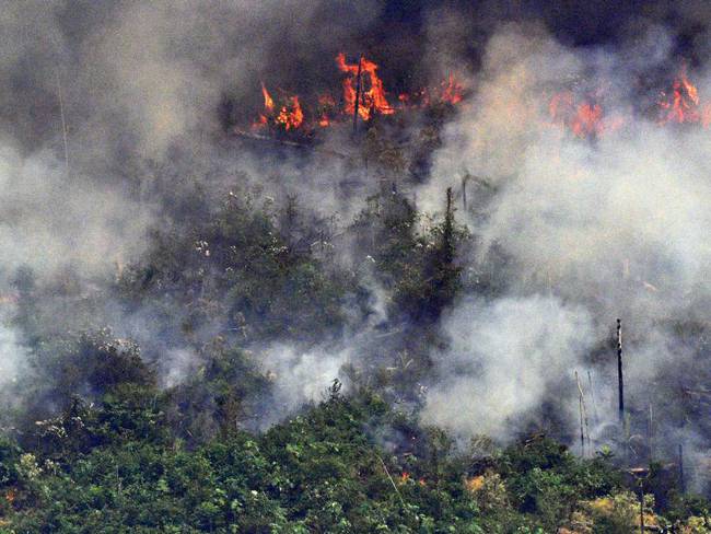 “El planeta está herido” por los incendios en la Amazonía