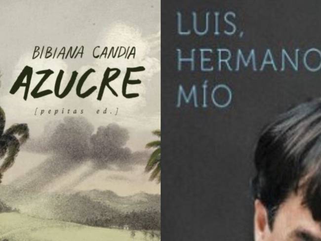 Detalles de la obra &#039;Luis Hermano Mio&#039;, escrito por Beatriz Caballero